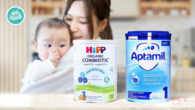 Tổng quan thương hiệu sữa Aptamil và Hipp