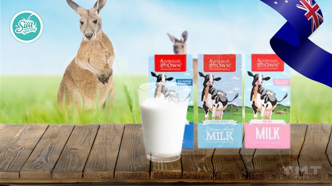 Sữa tươi nguyên kem không đường Australia’s Own