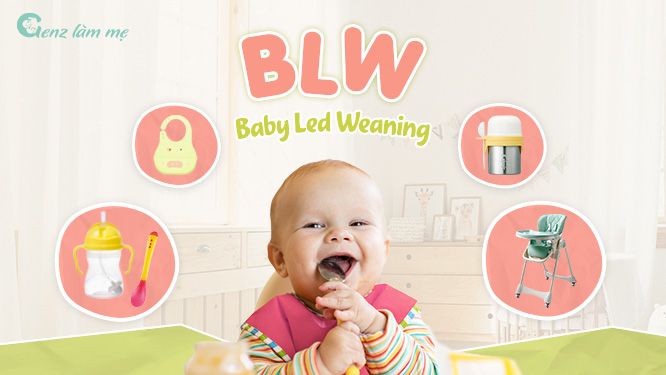 Các dụng cụ ăn dặm BLW cần thiết cho quá trình tập ăn của bé