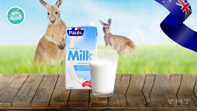 Sữa Pauls nguyên chất 100% sữa tươi nhập khẩu Úc