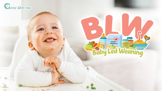 Thực đơn BLW cho bé 8 tháng tuổi bé dễ ăn, bố mẹ dễ nấu