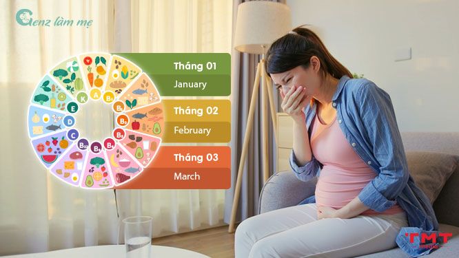 Dinh dưỡng 3 tháng đầu thai kỳ cho các mẹ ốm nghén, mệt mỏi